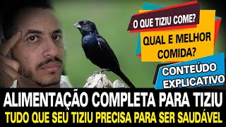 Alimentação completa para seu tiziu A comida dos campeões [upl. by Damek]