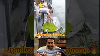 പുതിയ മീൻ പിടുത്തം mallutraveler fishingfreaks shorts mallu malayalam m4tech [upl. by Philbert]