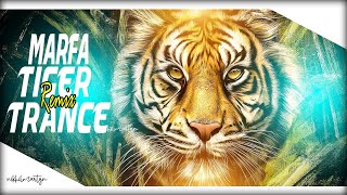 Hyderabadi Marfa Vs Tiger Trance  Dj Nikhil Martyn [upl. by Otnicaj]