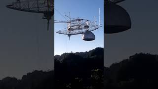 Arecibo Observatory Collapse [upl. by Hamel]