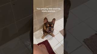 Pooping Partner youtubeshorts funny puppy fyp fypシ゚viral pet [upl. by Mavis200]