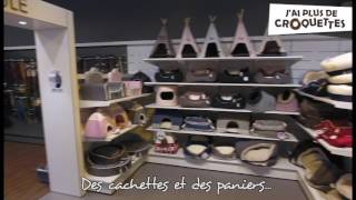 Découvrez la boutique quotJai plus de croquettesquot de Mérignac [upl. by Hanschen]