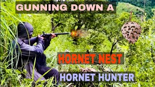 GUNNING DOWN A HORNETSWASP NEST  Hornet Hunter  WASP NEST REMOVAL  Edited [upl. by Ande]