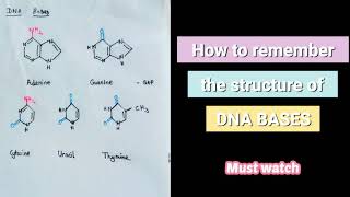 GPAT AND NIPER PREPARATION DNA and RNA BasesLearn the structures in less than 4 minutes [upl. by Nyllewell443]