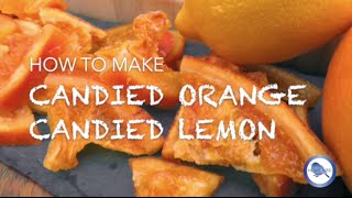 How to make Candied Orange or Candied Lemon recipe  Home Bird [upl. by Mackay755]