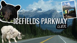 Exploring Icefields Parkway A Scenic Guide to Canadas Natural Beauty  Alberta Canada [upl. by Us]