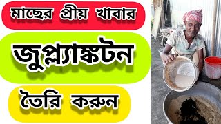 How to Grow Zooplankton in Fish Pond  Bangla [upl. by Uwton]