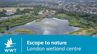 Escape to nature  London wetland centre  WWT [upl. by Daiz]