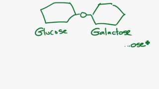 Lactose free milkmp4 [upl. by Buchheim]