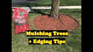 How to Mulch Around Trees  Mulch by Trees LAWN CARE  CURB APPEAL [upl. by Arrol]