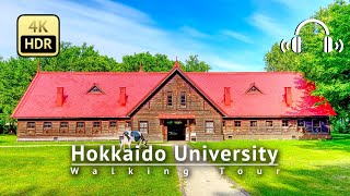 Hokkaido University Early Summer 2023 Walking Tour  Hokkaido Japan 4KHDRBinaural [upl. by Ecinue]