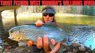 Trout Fishing West Virginias Williams River [upl. by Nedyrb385]