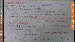 INHIBINS AND ACTIVINS FUNCTION AND FORMSFROM GANONG [upl. by Levram]