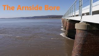 The Arnside Bore [upl. by Alvina47]