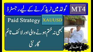 MT4 Gold Trading Paid Strategy 221 [upl. by Lynnea311]