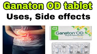 Ganaton Tablets in Hindi  Mrp Composition Benefit and Side Effects [upl. by Annaierb388]