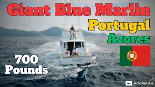 Amazing 700 Lb Giant Blue Marlin Fish Caught In Azores  Marlin Fishing [upl. by Betthezel]