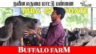 நவீன எருமை மாட்டு பண்ணை 🐂 🐄🐮 MBA Graduate does Buffalo Rearing  Oor Naattan [upl. by Nellac]