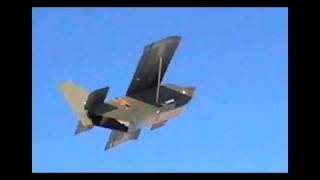 Snow Bird RC Plane Maiden Flight [upl. by Dettmer]