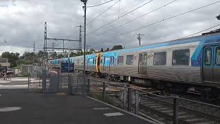 Pascoe Vale Station Level Crossing [upl. by Aicnom]