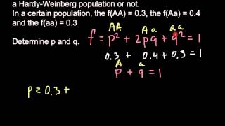 Calculating allelic frequencies from genotypic frequencies [upl. by Thackeray549]