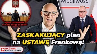 Ministerstwo bierze się za SPRAWY FRANKOWE Ustawa dla SĄDÓW BANKÓW czy FRANKOWICZÓW [upl. by Dewhurst]