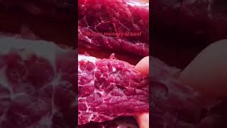 Raw meat with muscle memory [upl. by Aehtorod560]