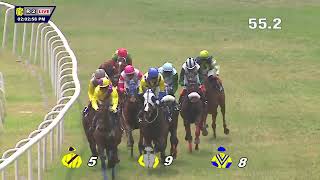 ECO FREINDLY THE CHAMPION JOCKEY TROPHY DIVII161 [upl. by Bland716]