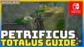 How to Use Petrificus Totalus in Hogwarts Legacy on Nintendo Switch  Easy Guide [upl. by Arramahs]