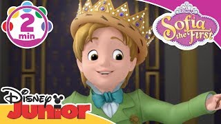 Sofia The First  King For A Day  Be Your Own King  Song  Disney Junior UK [upl. by Roeser70]