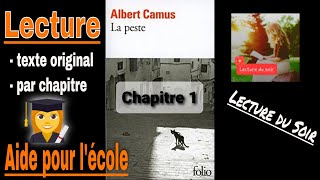 Albert Camus  La Peste Résumé [upl. by Aymer637]