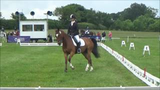 Brand Hall British Pony Championships  2nd [upl. by Omer]