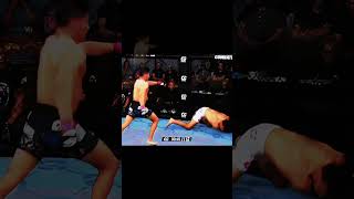 Spinning Wheel Kick 😳 ufc mma [upl. by Jac]