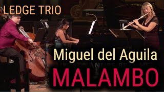 flute piano double bass contrabass trio MALAMBO Miguel del Aguila Ledge Trio kontrabass Kammermusik [upl. by Caitlin]