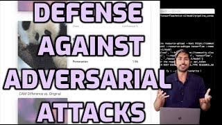 Defense Against Adversarial Attacks [upl. by Nalym]