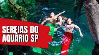 O MERGULHO DAS SEREIAS NO AQUÁRIO DE SÃO PAULO [upl. by Rokach]