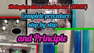 Methylene blue reduction test  MBRT principle and procedure  How to check quantity of milk [upl. by Nosral136]