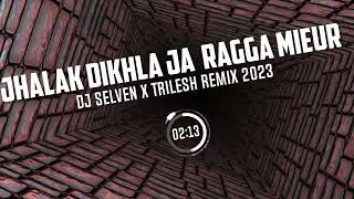 Jhalak Dikhla Ja  Ragga MieurDJ Selven x TRILESH Remix 2023 [upl. by Natale]