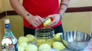 LIMONCELLO FATTO IN CASA  FoodVlogger [upl. by Talley]