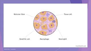 Introduction to Immunology part 1 [upl. by Ayek]