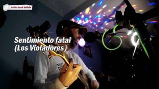 SENTIMIENTO FATAL  LOS VIOLADORES COVER ACÚSTICO EN VIVO [upl. by Ecirtak985]