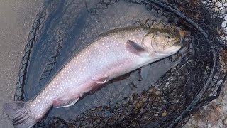 Half day open water and half day ice fishing New Hampshire trout first ice 15” thick [upl. by Amalle]