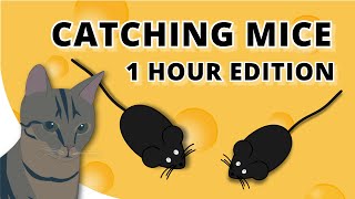 Video for cats  Catch the mouse  1 HOUR edition  Cat game [upl. by Iilek]