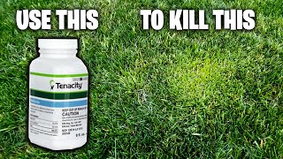 TENACITY HERBICIDE  PRE  POST EMERGENT  HOW TO  APPLICATION GUIDE  KILL CRABGRASS SUPPRESS POA [upl. by Aydiv]