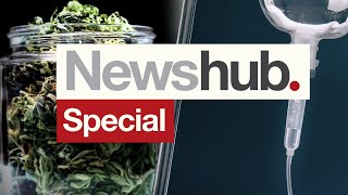 NZs cannabis euthanasia referendum results announced  Newshub [upl. by Sera]