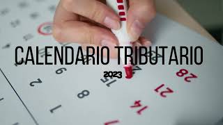 Calendario Tributario 2023 [upl. by Gerrald]