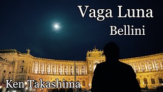 【ウィーン】Vaga Luna  Bellini 優雅な月よ  ベッリーニ作曲【王宮】 [upl. by Naginarb]