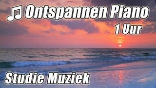 PIANO Instrumentale 1 uur Klassieke Muziek voor Studeren Afspeellijst Mooie Ontspannende Sudie lied [upl. by Arbe881]