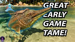 SECRETS of the ICHTHYOSAURUS  Taming amp Tips for Ark Survival Ascended [upl. by Thane]