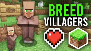 How To Breed Villagers In Minecraft  Full Guide [upl. by Ahseina171]